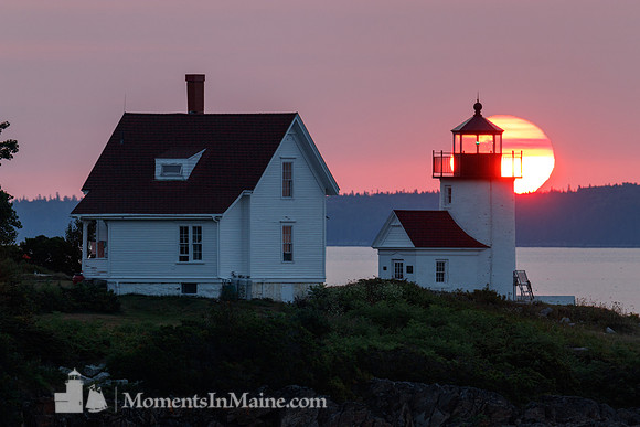 Curtis Island Light #CIL-010