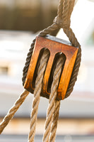 The Rigging #SCH-038