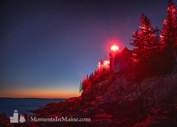 Under Acadia Stars #DT-0072