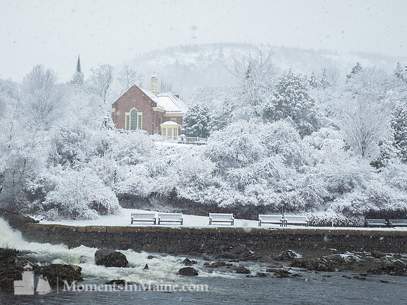 Winter's First Snowfall #DT-0034