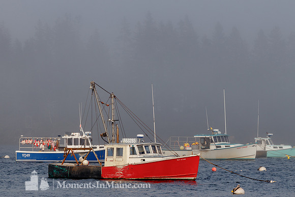 Ghosted Shores #DWR-010