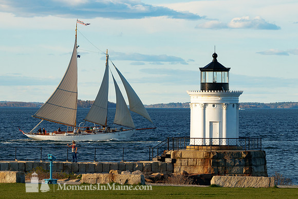 Portland Sailing #DRW-017