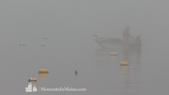 Lonesome Lobsterman #DRW-035