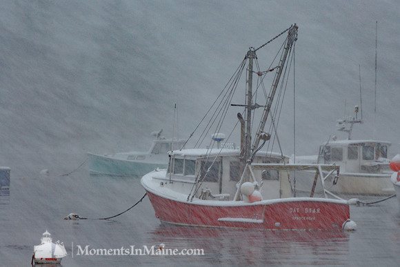 In the Storm #DRW-038