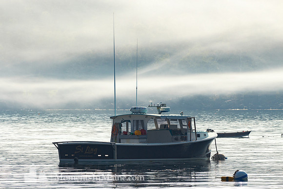 Si Ling Fog #DRW-029