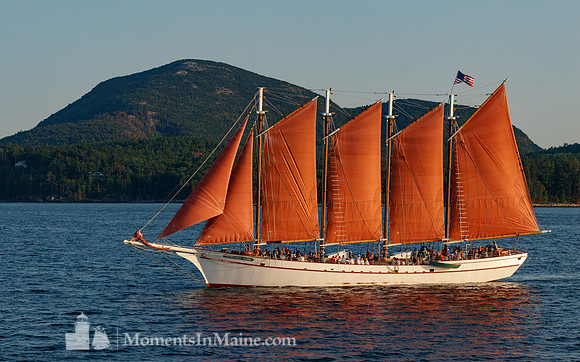 Acadia Sail #DRW-006