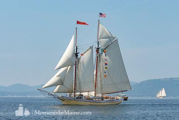 Sail the Bay #DRW-034