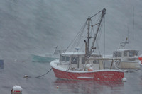 In the Storm #DRW-038