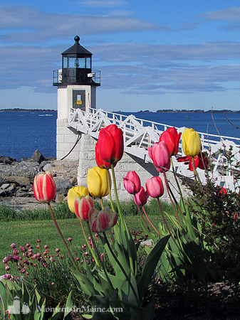 Marshall Point Light #BT-0028