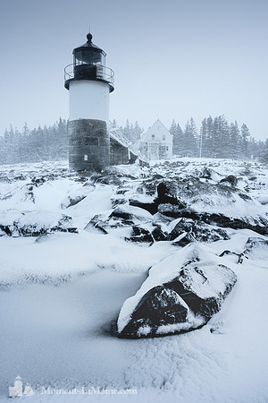 Frozen Tide #DT-0008