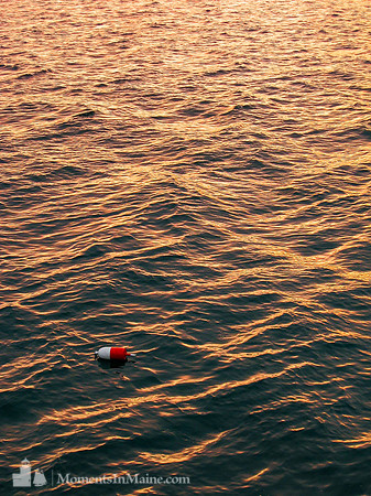 Golden Sea #DRW-059