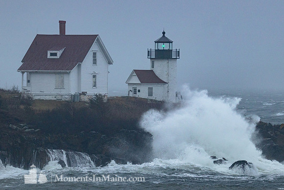 Curtis Island Wave #DT-0037