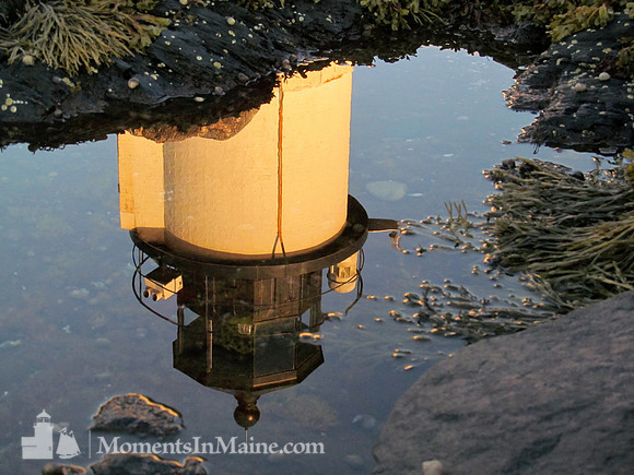 Marshall Point Light #MPL-036