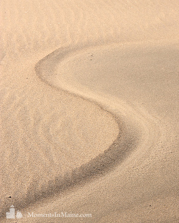 Curvature #DT-0077