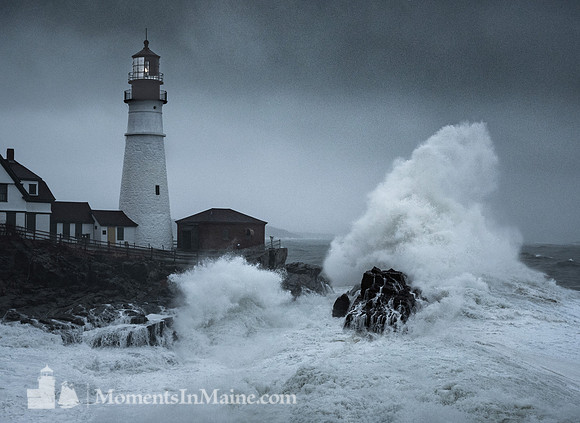 Ocean's Fury #DRW-105