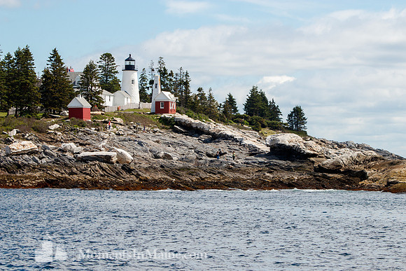 Pemaquid Point Lighthouse #PPL-015
