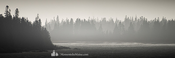 After the Storm #DRW-104