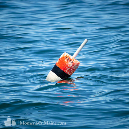 Lobster Buoy #DT-0080