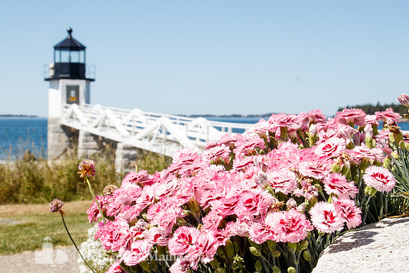 Marshall Point Light #MPL-067