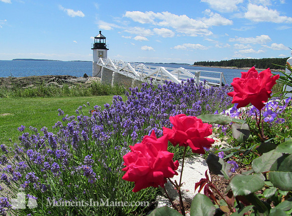 Marshall Point Light #MPL-034