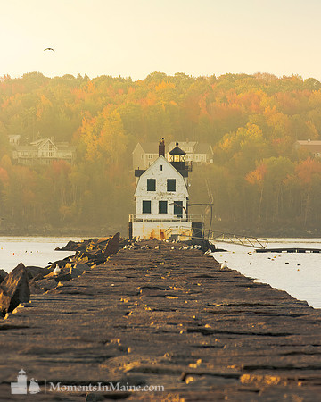 The Golden Morning #DT-0064