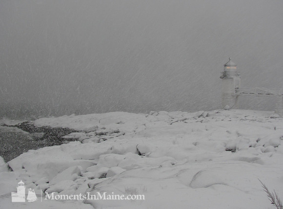 Marshall Point Light #MPL-010
