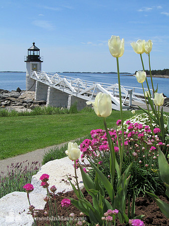 Marshall Point Light #MPL-032