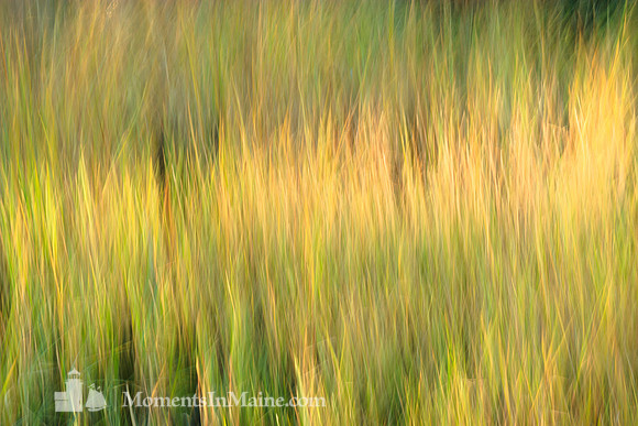 Motion #DT-0070