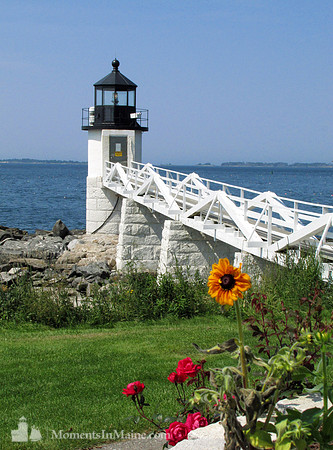 Marshall Point Light #MPL-024
