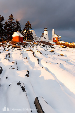 Contrast of Winter #DRW-023